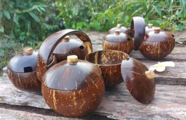 What can you use coconut shells for