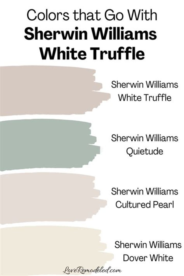 What Colour goes with truffle