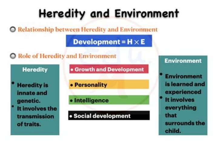 What do you mean by heredity and environment
