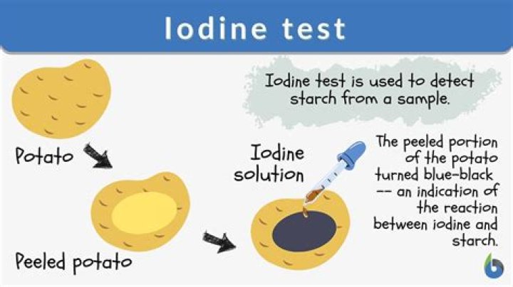 What happens when iodine is added to starch and amylase