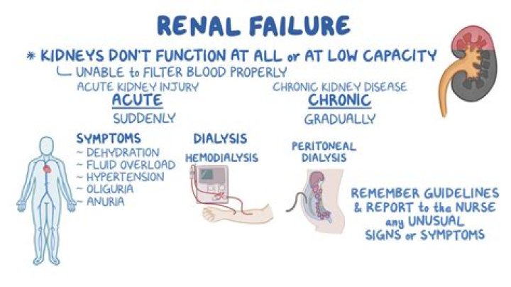 What happens when you go into renal failure