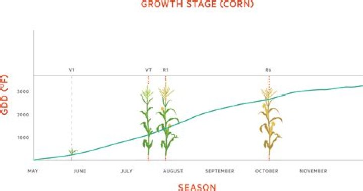 What is a degree day agriculture