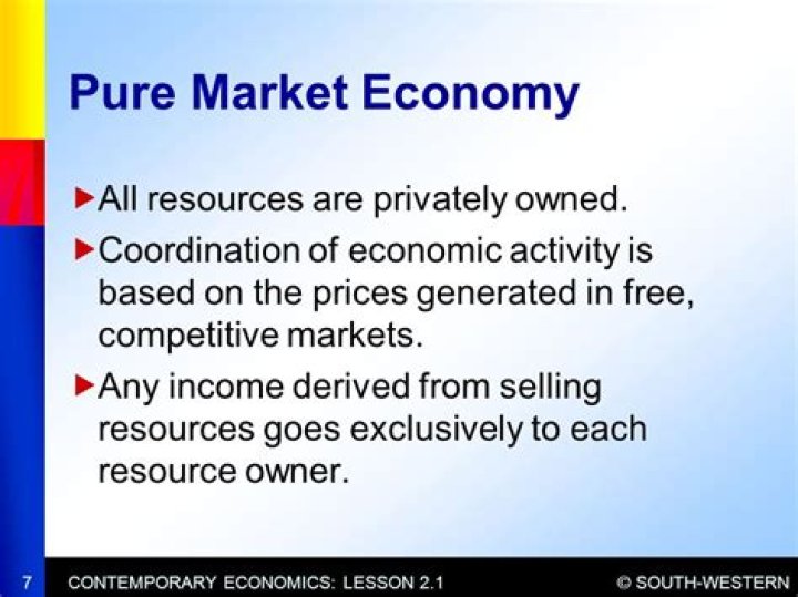 What is a pure market economy sometimes called
