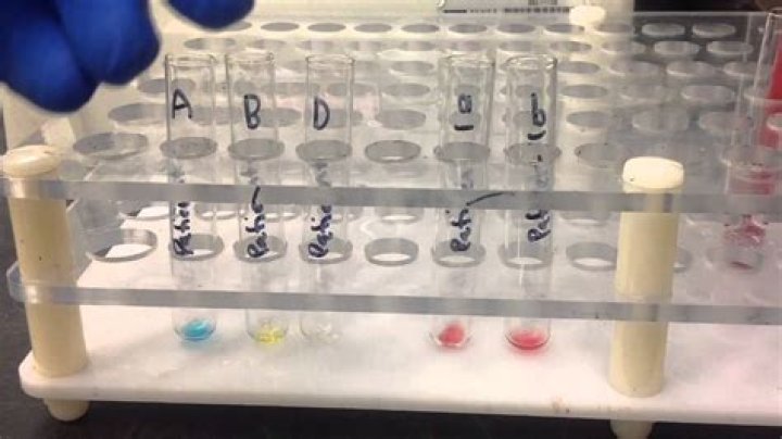 What is Aborh test