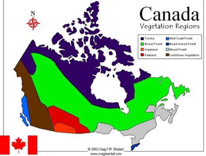 What is Canadas smallest vegetation region