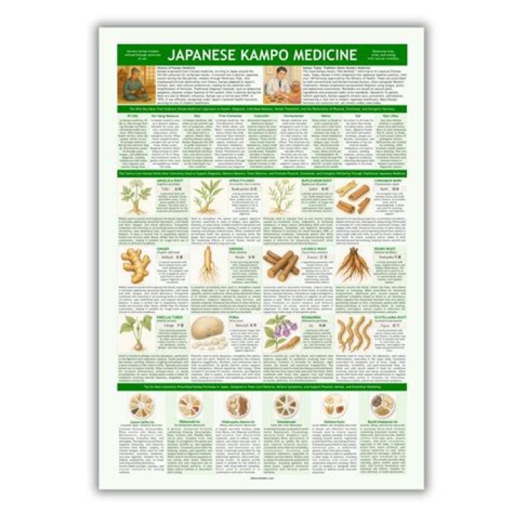 What is Japanese Kampo medicine