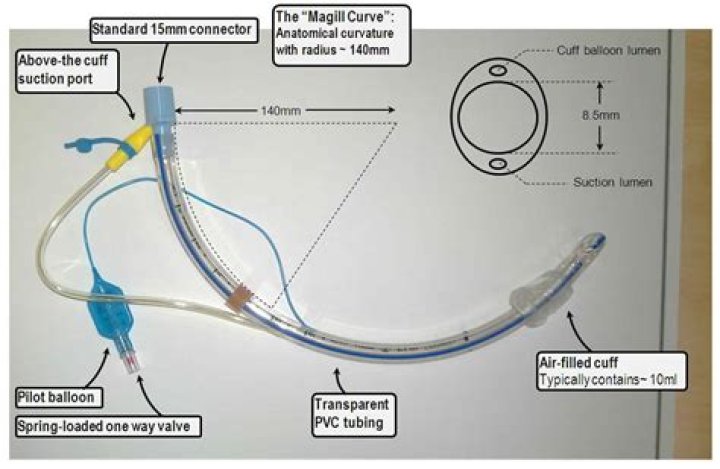 What is Murphys eye endotracheal tube