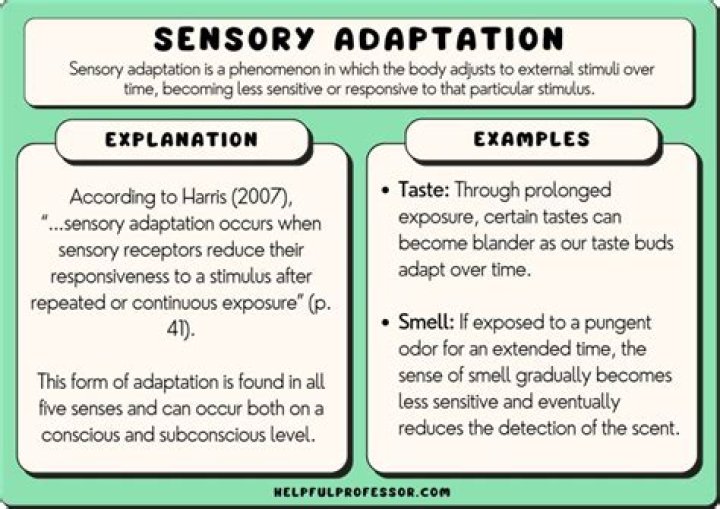What is sensory adaptation in psychology