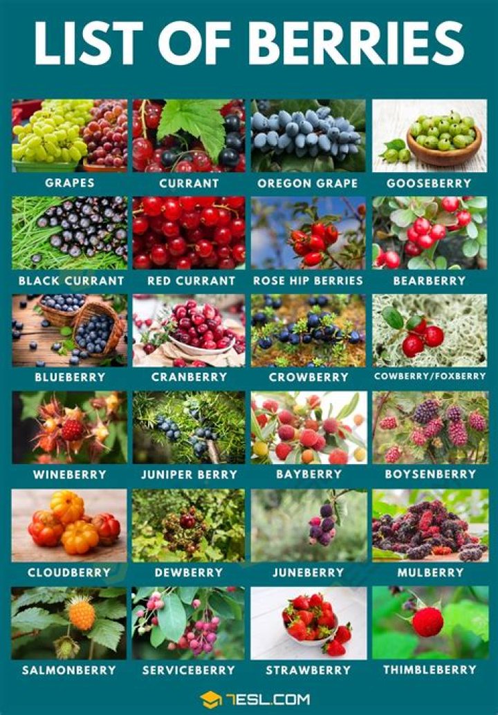 What is the best berry in Ark