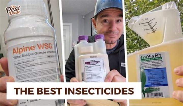 What is the best insecticide for tomatoes