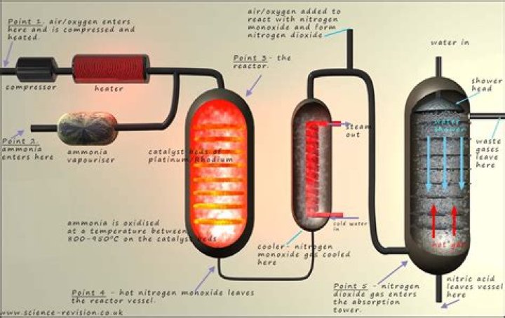 What is the catalyst in the Ostwald process