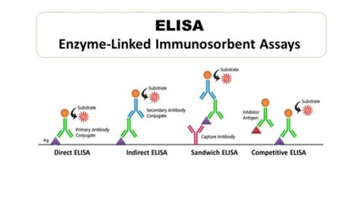 What is the Elisa describe the purpose of each component used in an Elisa
