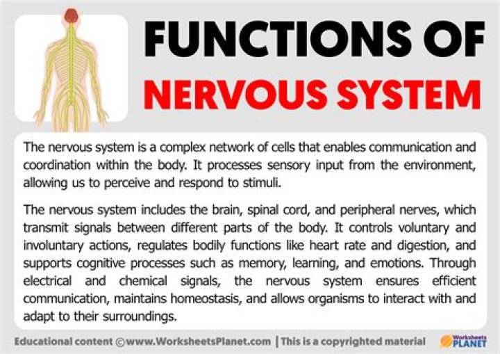 What is the function of AWS