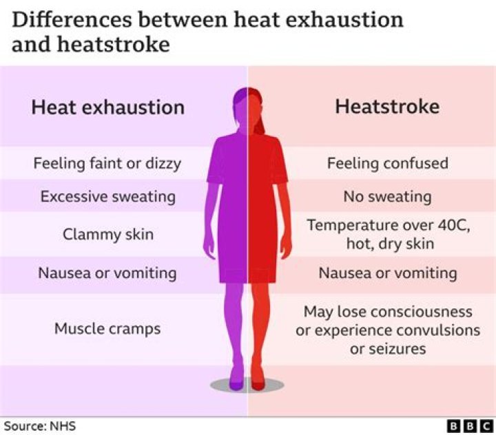 What is the main cause of heat exhaustion
