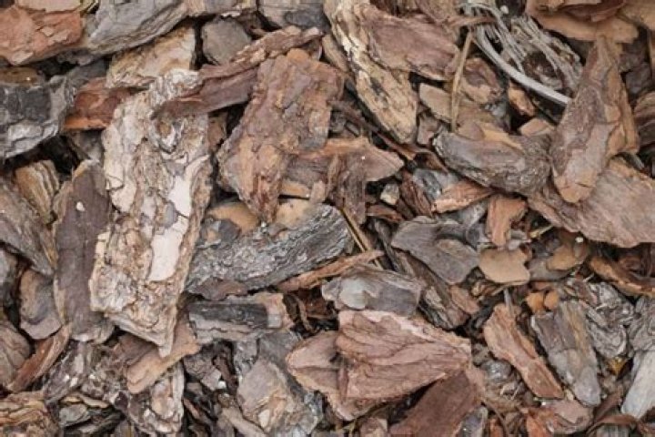 What is the most environmentally friendly mulch