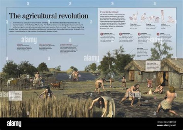 What is the Neolithic Revolution and how did it impact the world