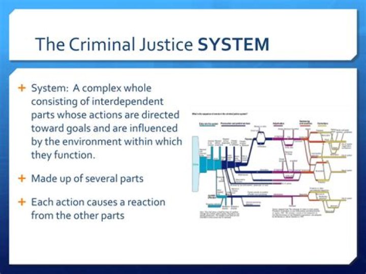 What is the US criminal justice system