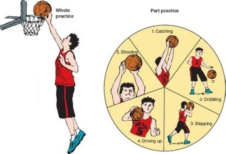 What is whole practice