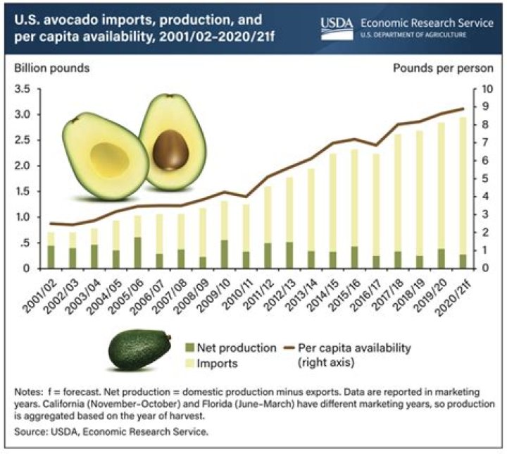 What percentage of avocados come from Mexico