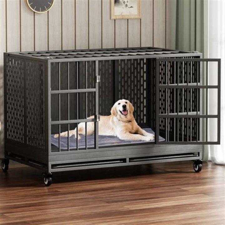 What size is an extra large dog crate
