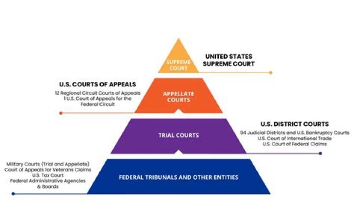 What type of courts have appellate jurisdiction