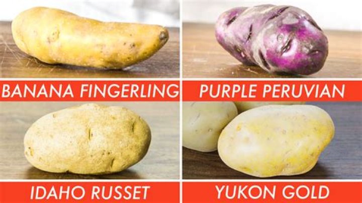 What type of potato is Yukon Gold
