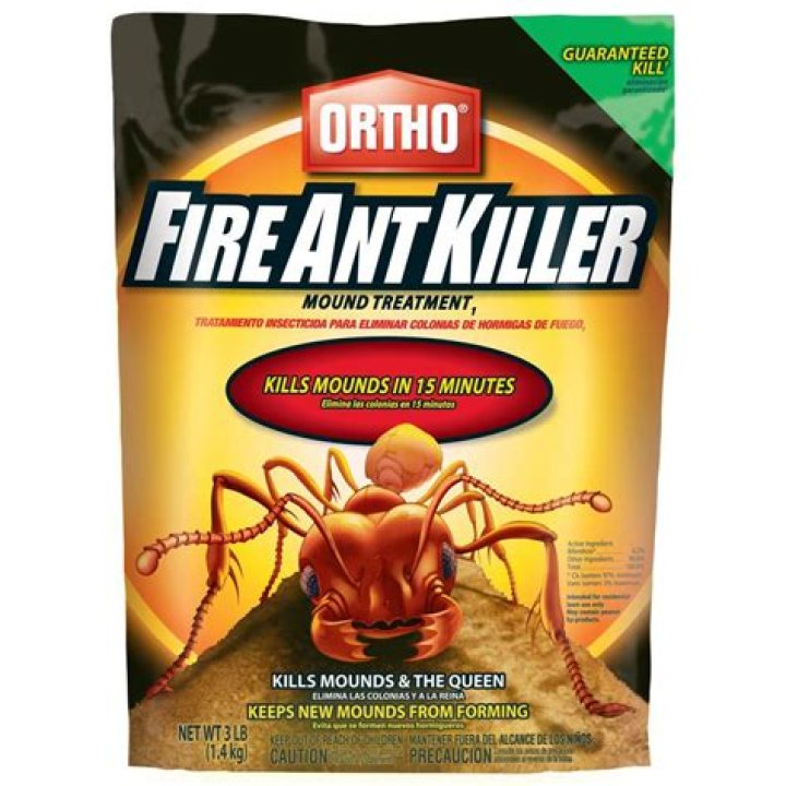 Whats the most effective ant killer