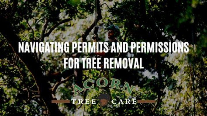 When should I remove trees from my house