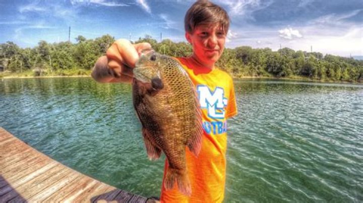 Where can I find a big bluegill in Michigan
