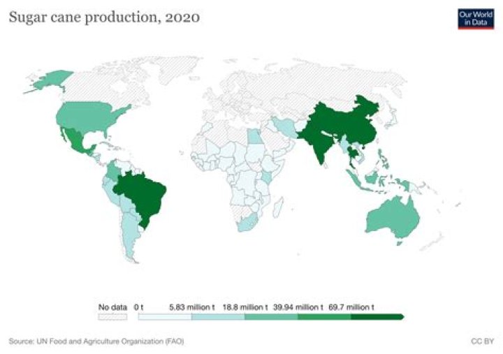 Where can sugar cane grow