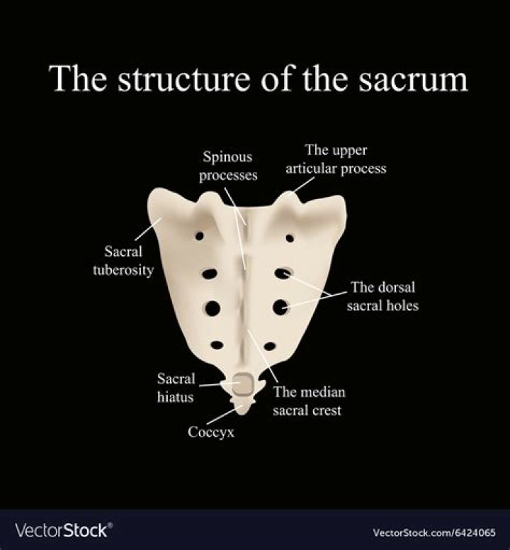 Where is the aitch bone located