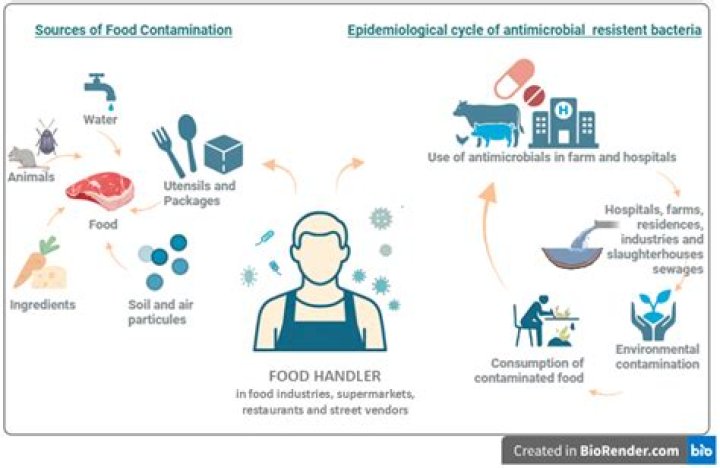 Which Food Handler activity can contaminate food