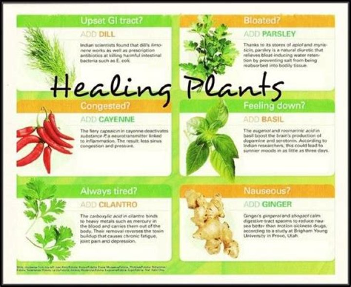Which of these plants has healing properties