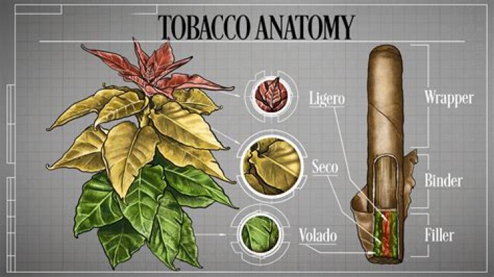 Which organization is responsible for regulating tobacco a FCCB Ftcc FDAD FBI