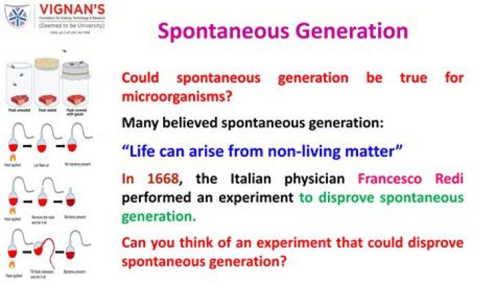 Who disapproved the theory of spontaneous generation