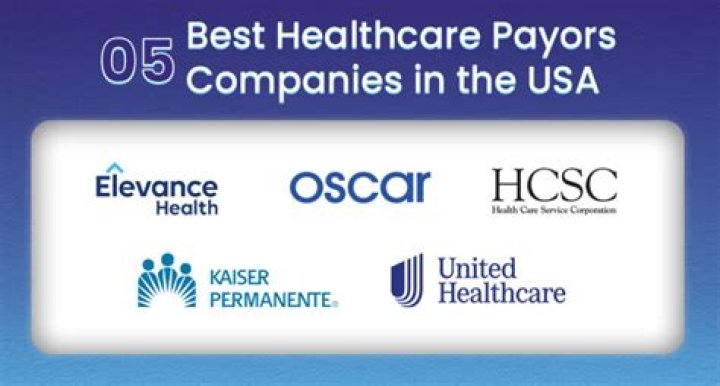 Who is the largest payer to home health care
