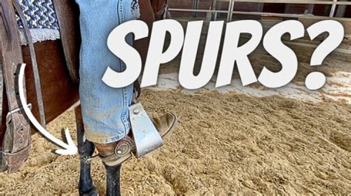 Why are the Spurs called Spurs