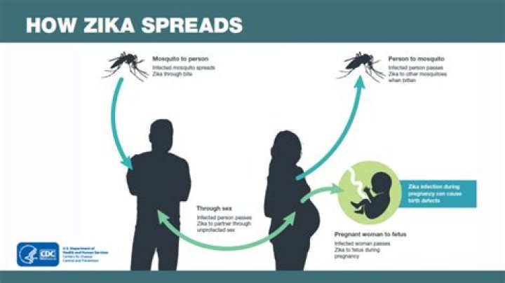 Why did the Zika virus spread
