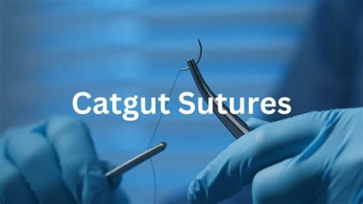 Why is catgut sutures used