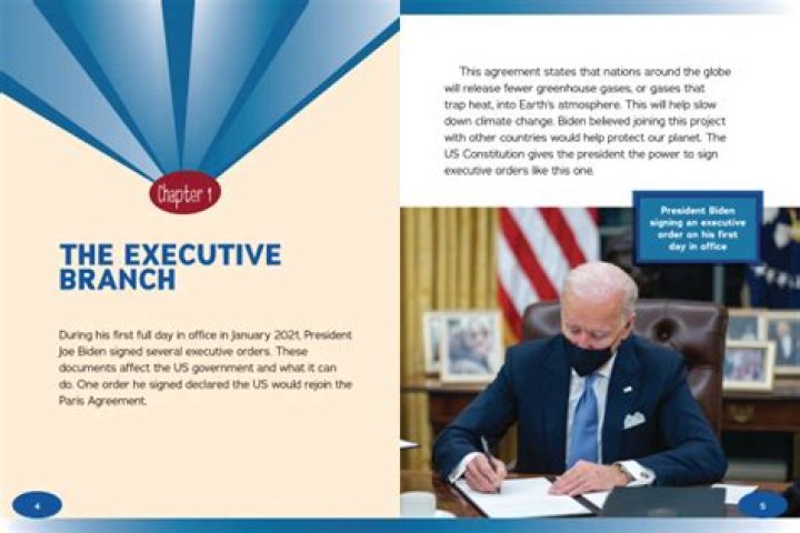 Why is it important to understand how the executive branch functions
