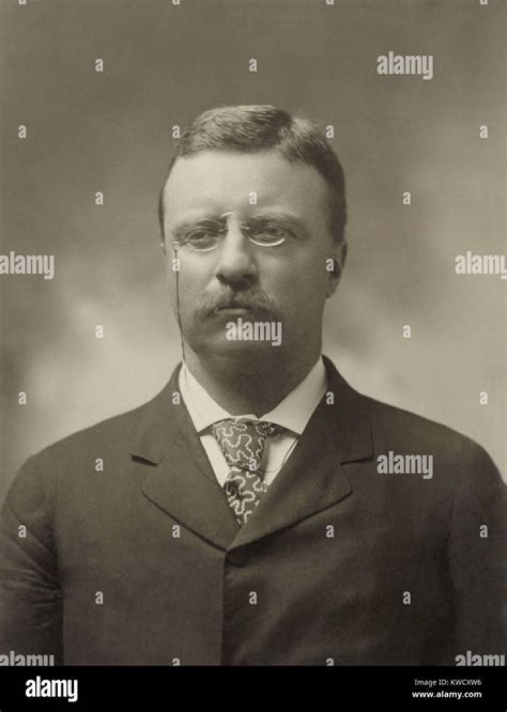 Why was Theodore Roosevelt chosen as McKinleys running mate